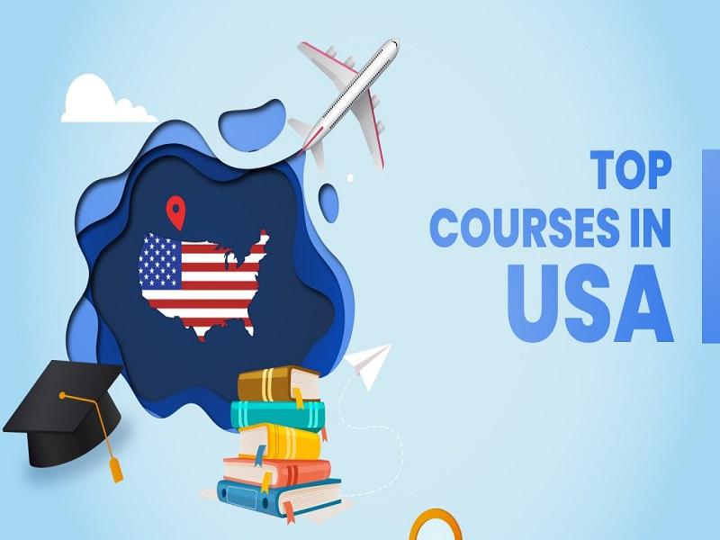 Best Courses to Career Beginner in the USA